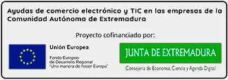 Ayudas de comercio electrónico y TIC en las empresas de la Comunidad Autónoma de Extremadura